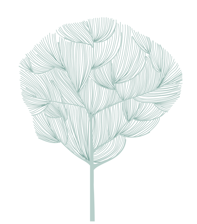 Arbre de vie — une orientation assumée