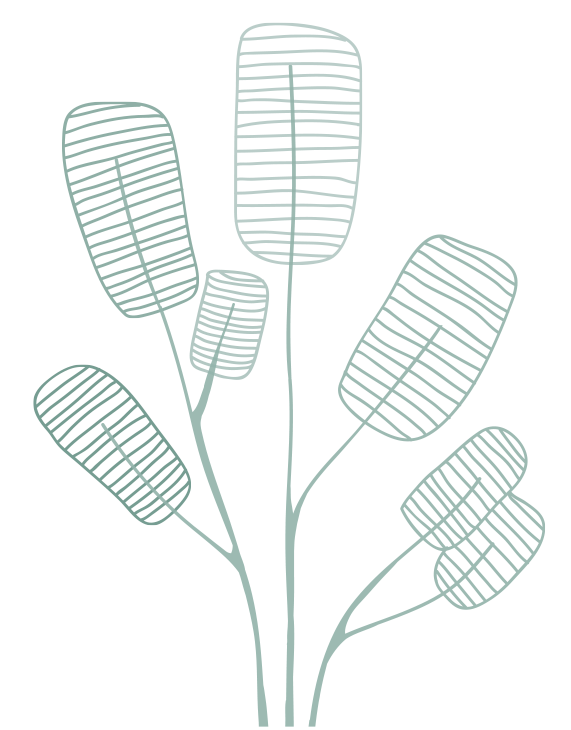 Illustration d'une plante — des terrains variés