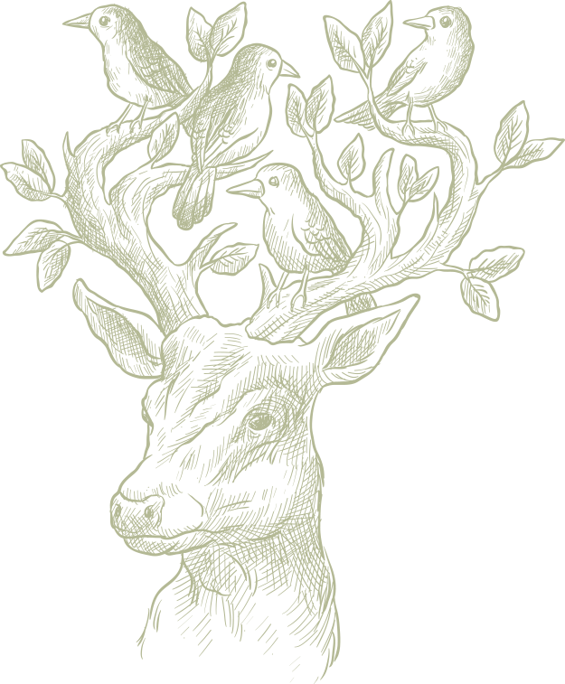 Cerf entouré d'oiseaux — comprendre ce qui est là